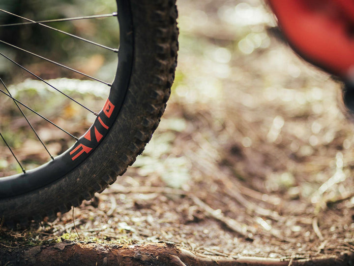 Evil Loopholes Wheelset