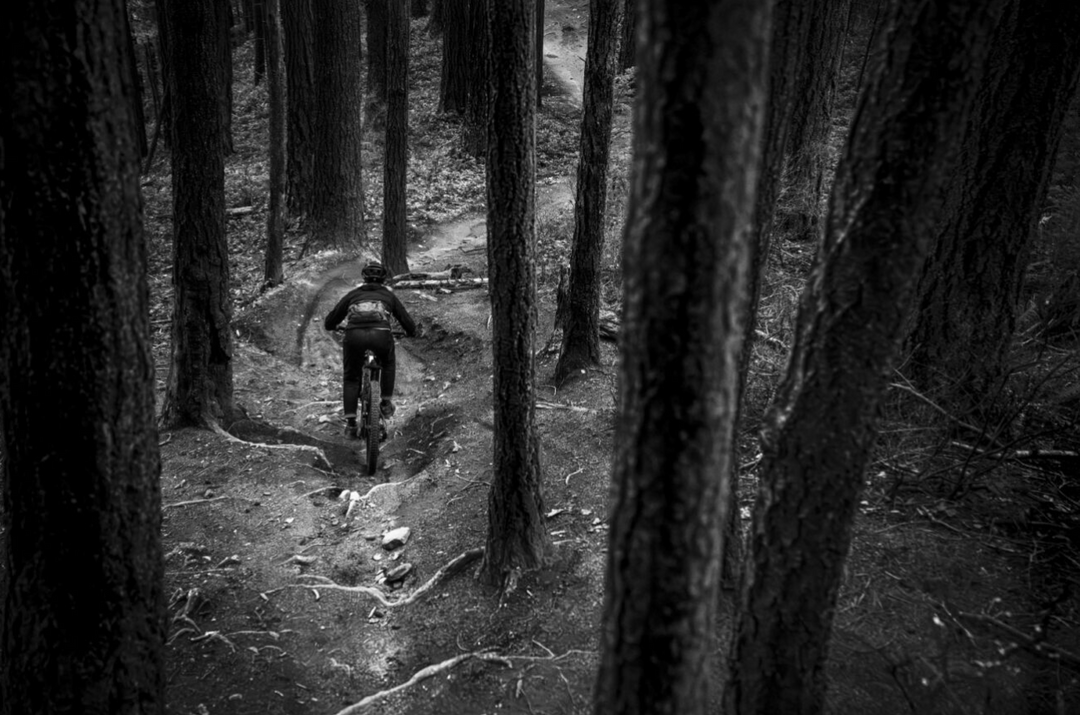 Tuesday Whatcom World Cup Course Preview Ride