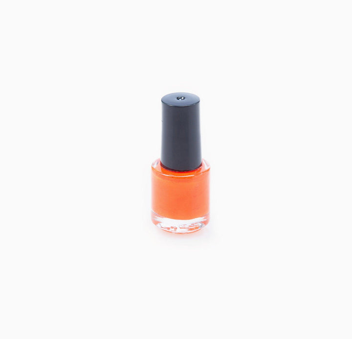 Touch Up Paint